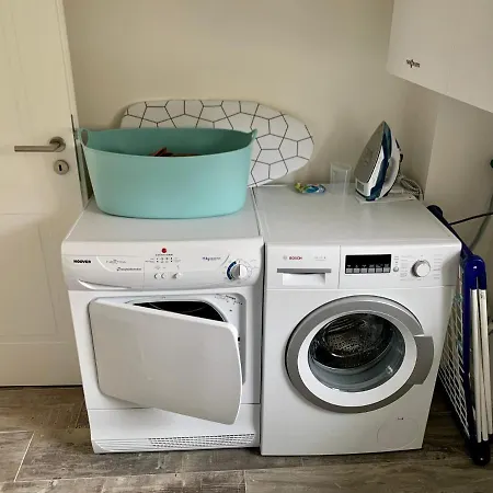 Der Kleine Knutt In Tating